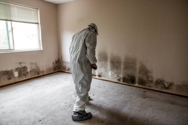 Best Asbestos and Lead Testing During Mold Inspection  in Monroe Manor, NJ